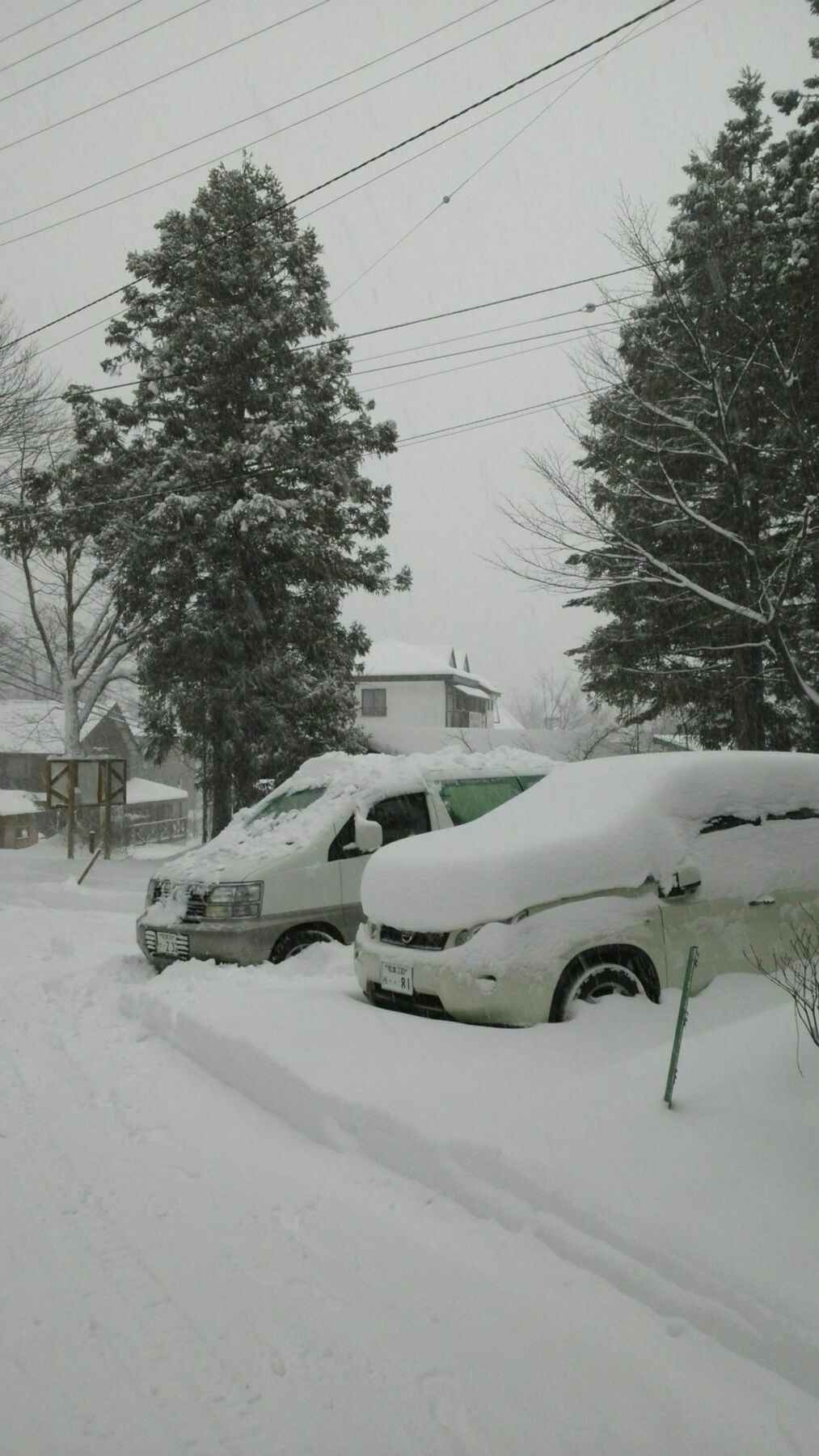 Villa Sakka Sanso Hakuba Exterior foto